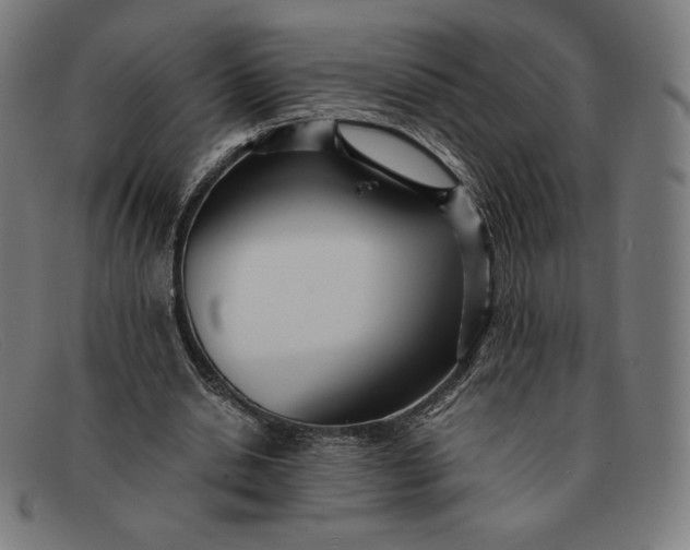 X0000091300438200708311340