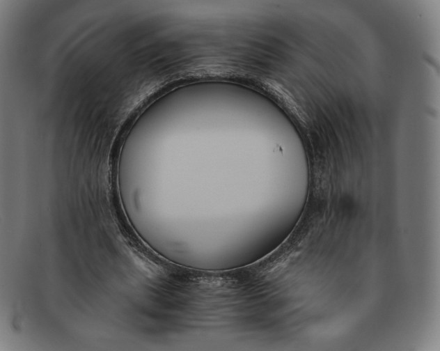 X0000091300439200708311340