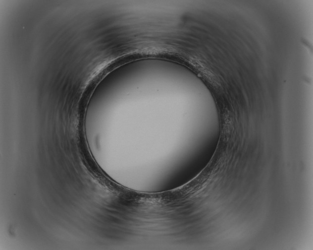 X0000091300440200708311340