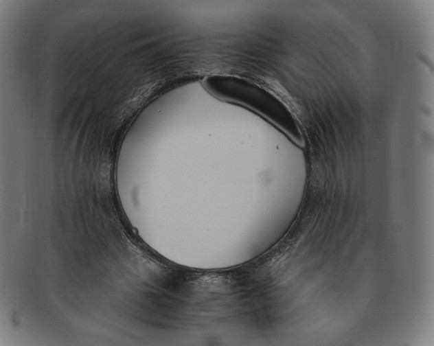 X0000091300441200708311340