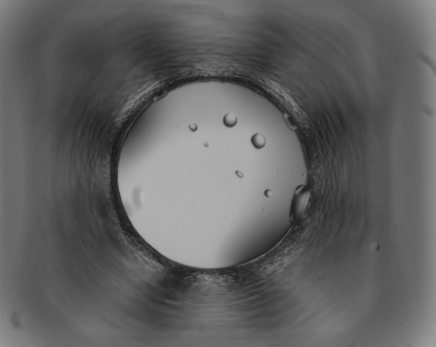 X0000091300442200708311340