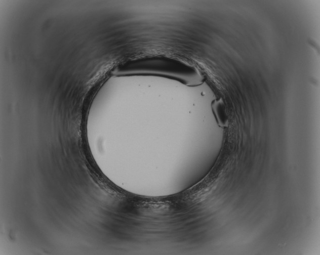 X0000091300443200708311340