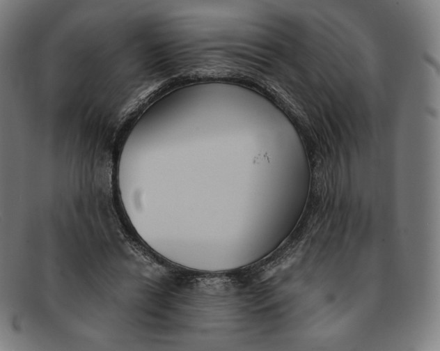 X0000091300446200708311340