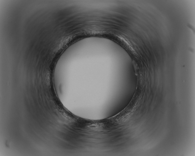 X0000091300447200708311340