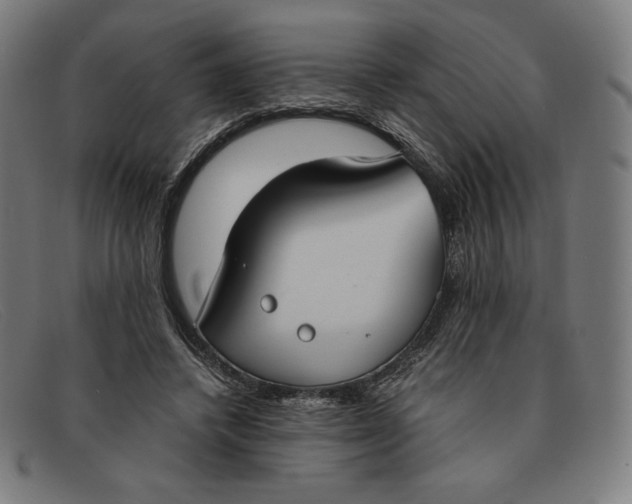 X0000091300448200708311340