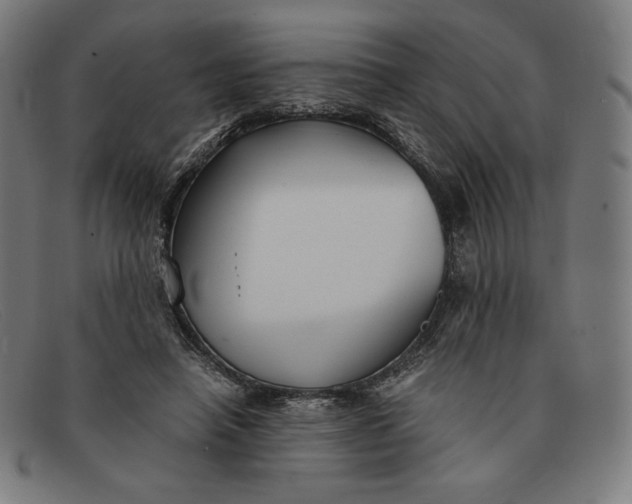 X0000091300450200708311340