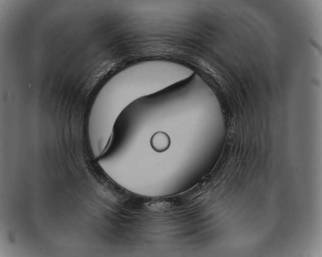 X0000091300452200708311340