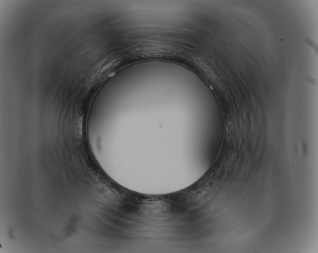 X0000091300454200708311340