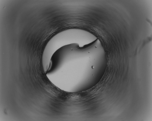 X0000091300456200708311340