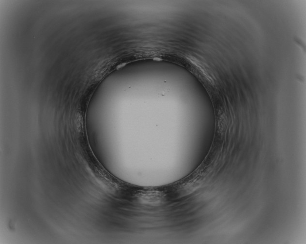 X0000091300459200708311340