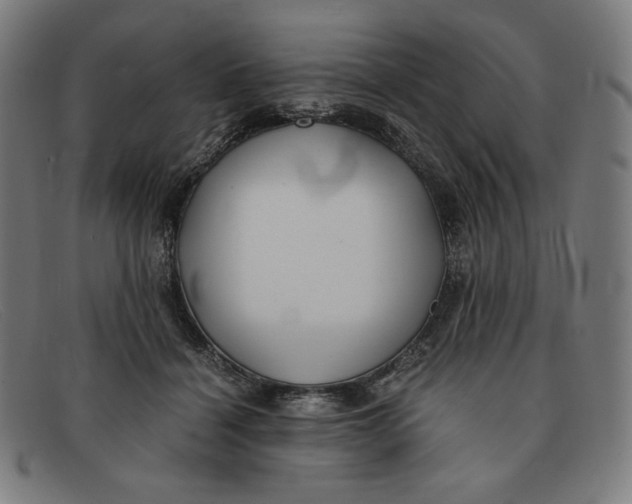 X0000091300460200708311340