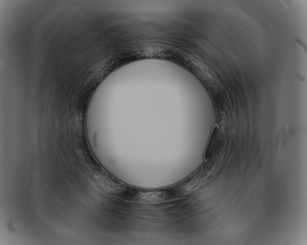 X0000091300461200708311340