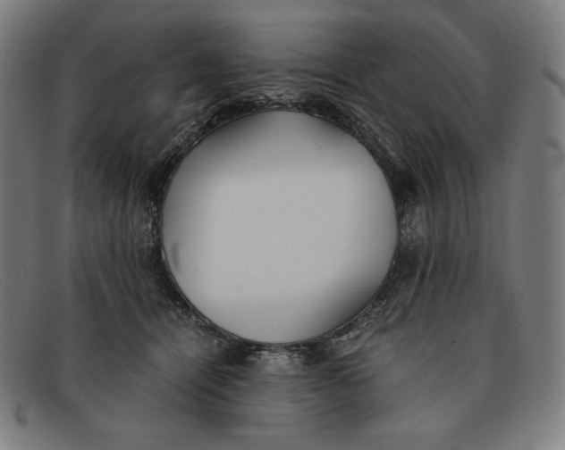 X0000091300464200708311340