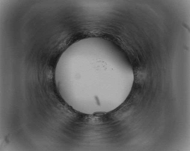 X0000091300472200708311340