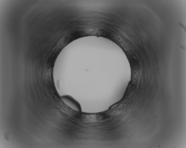 X0000091300473200708311340