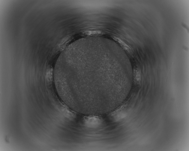 X0000091300475200708311340