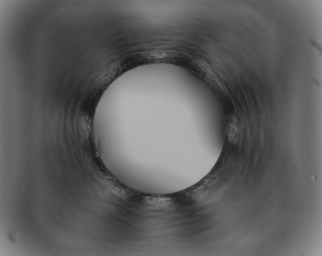 X0000091300476200708311340