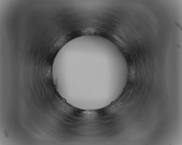 X0000091300477200708311340