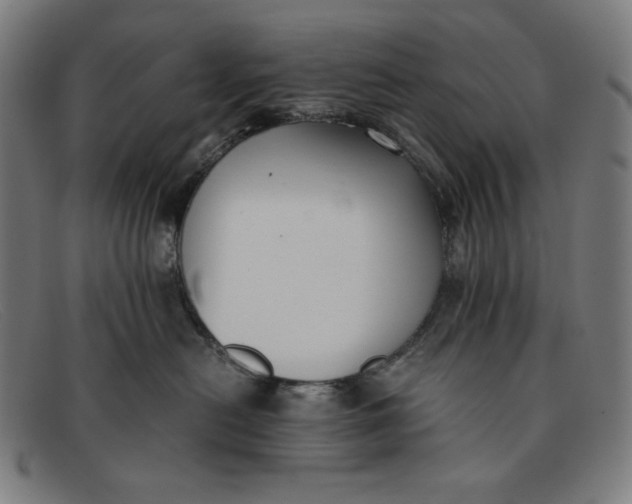 X0000091300478200708311340