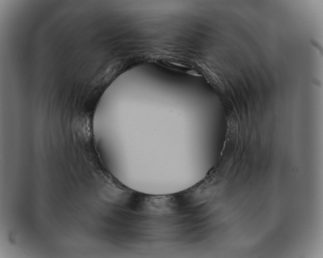 X0000091300479200708311340