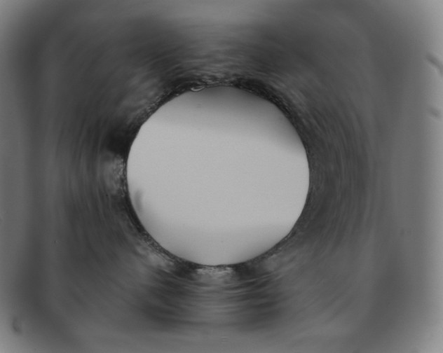 X0000091300480200708311340