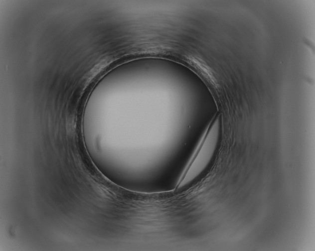 X0000091300483200708311340