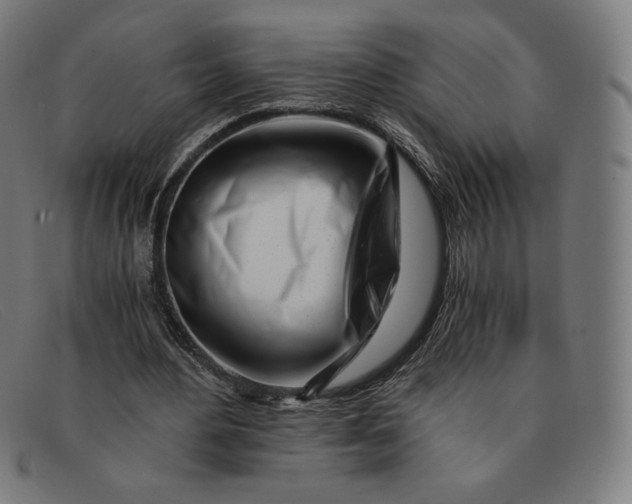 X0000091300484200708311340