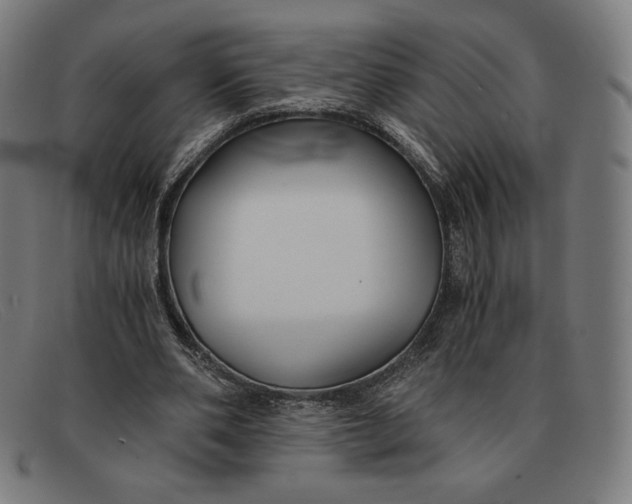 X0000091300486200708311340