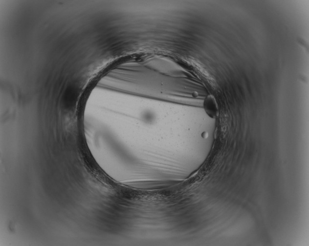 X0000091300488200708311340