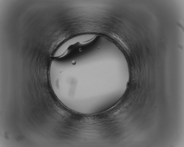 X0000091300489200708311340