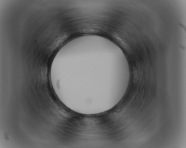 X0000091300490200708311340