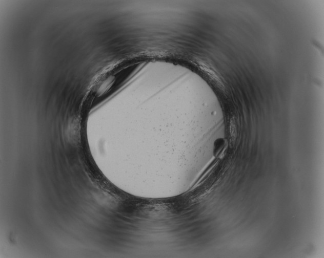 X0000091300492200708311340