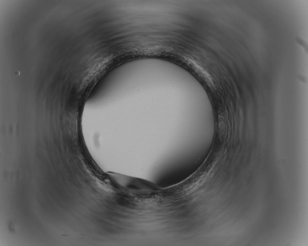 X0000091300493200708311340