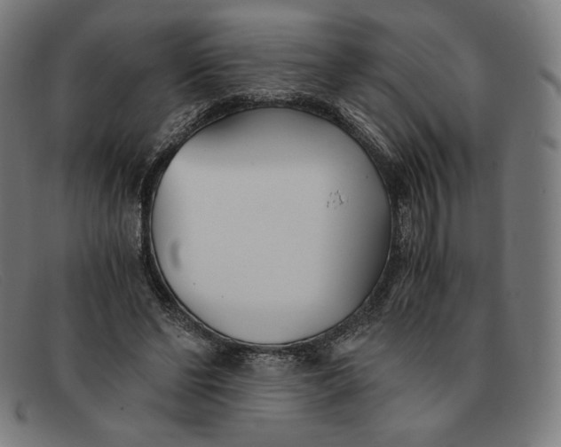 X0000091300494200708311340