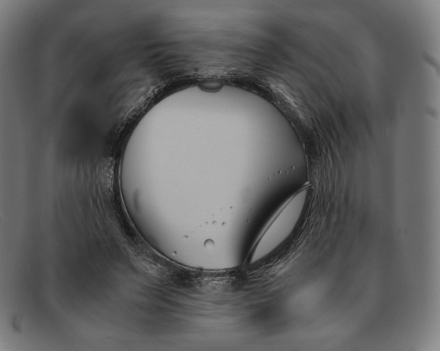 X0000091300495200708311340