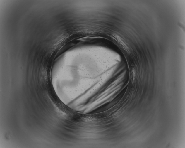 X0000091300500200708311340