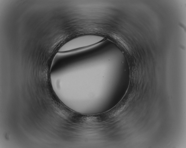 X0000091300501200708311339