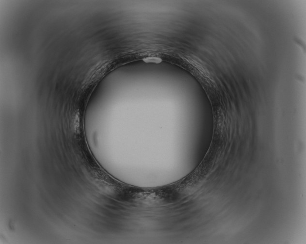 X0000091300502200708311339