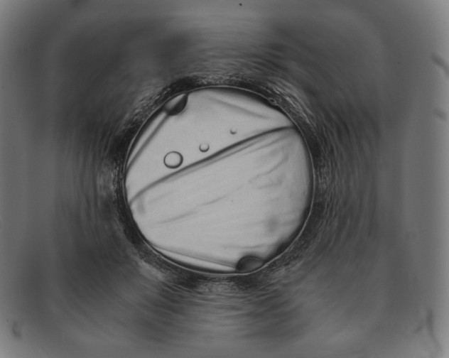 X0000091300503200708311339