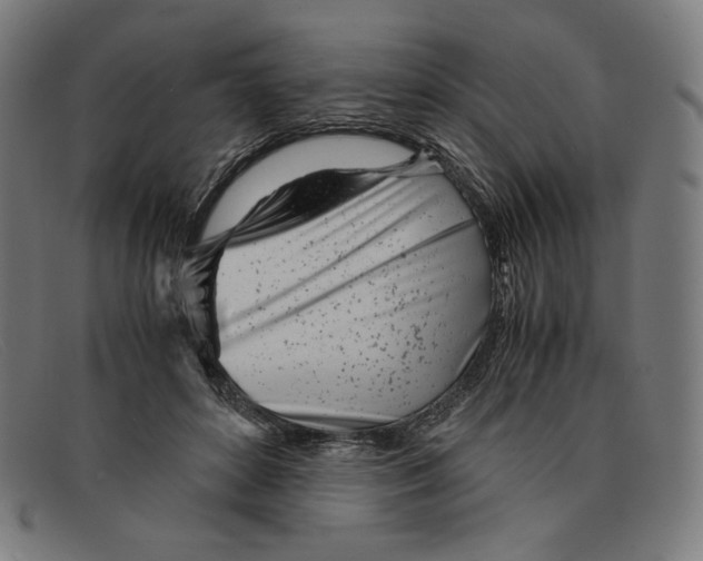 X0000091300504200708311339