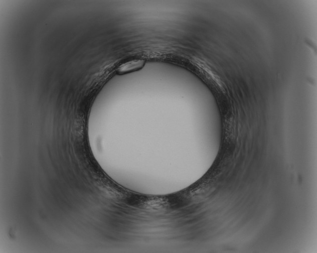 X0000091300505200708311339