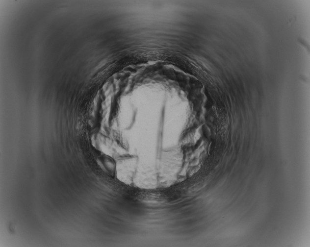 X0000091300507200708311339