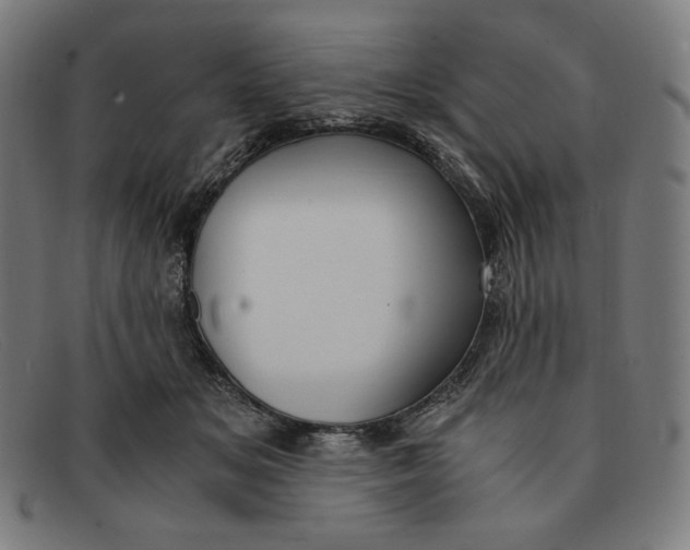 X0000091300509200708311339