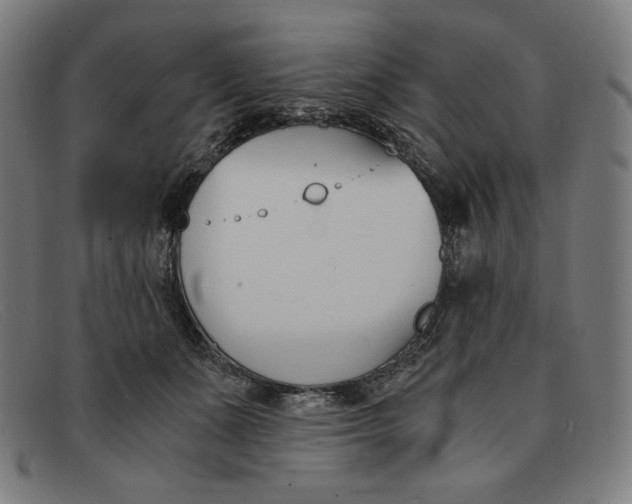 X0000091300511200708311339