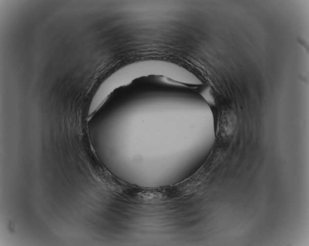 X0000091300512200708311339