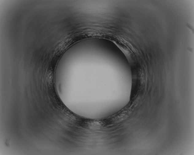 X0000091300513200708311339