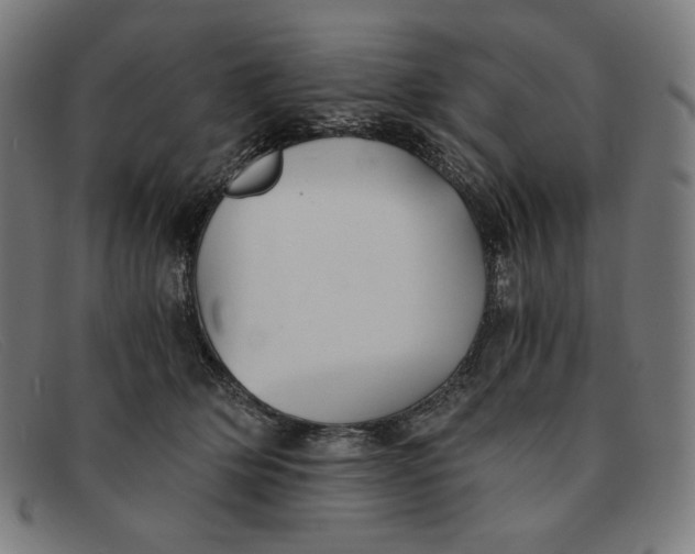 X0000091300514200708311339