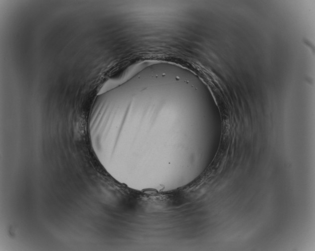 X0000091300517200708311339