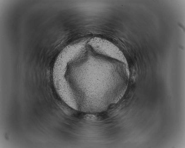 X0000091300519200708311339