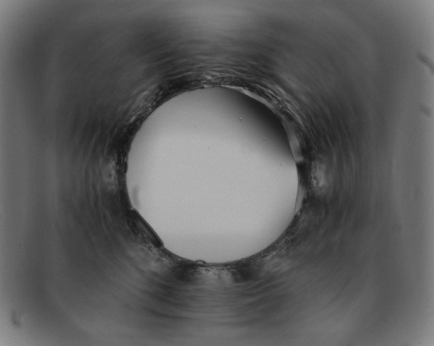 X0000091300520200708311339